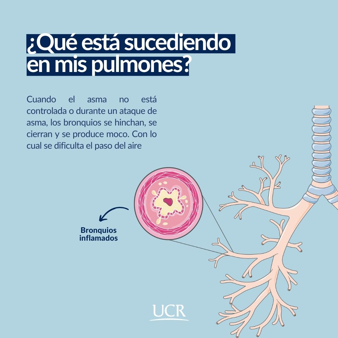 Copia-de-Autocuidado