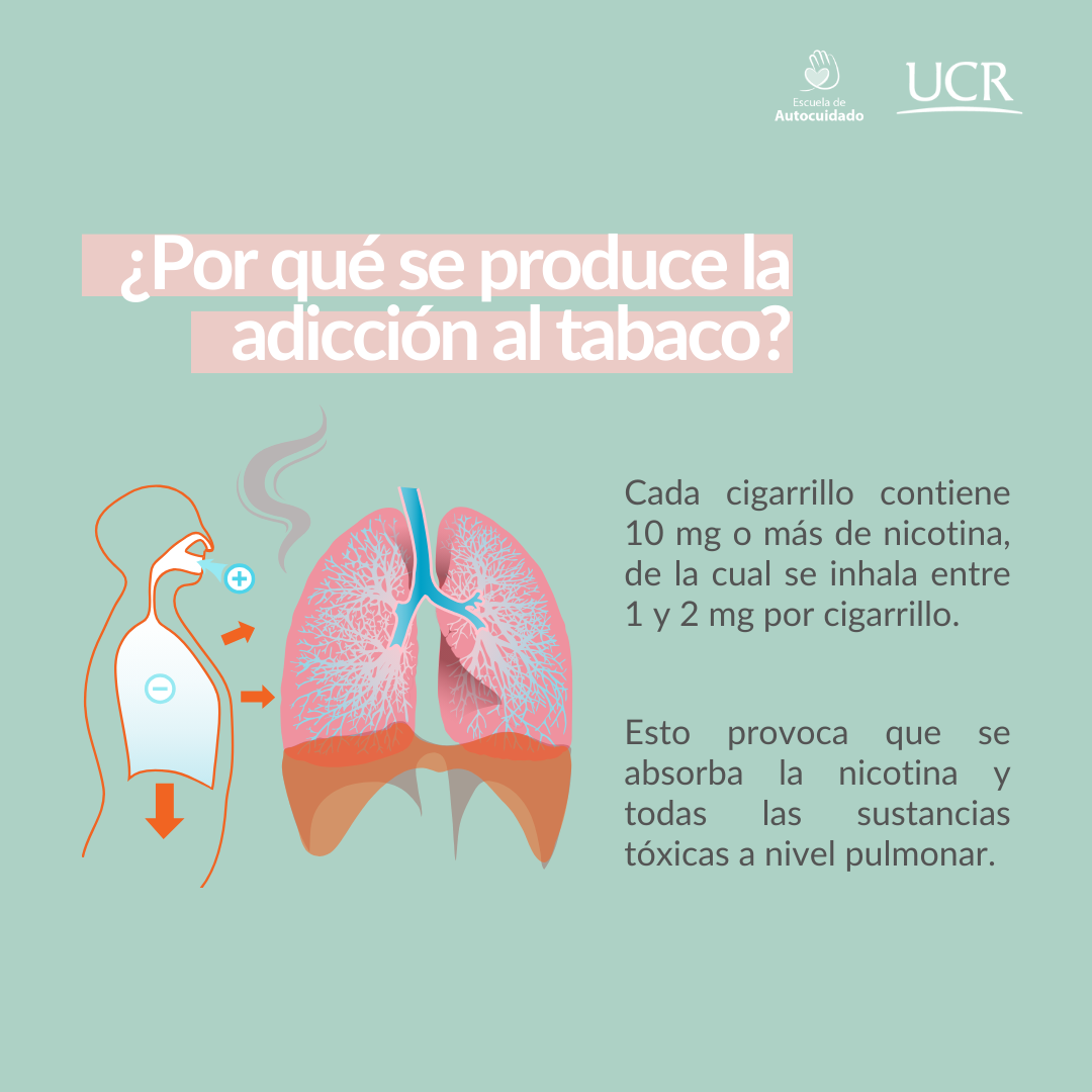 Explicacion-2-1